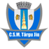 ACS Targu Jiu