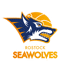 Rostock Seawolves