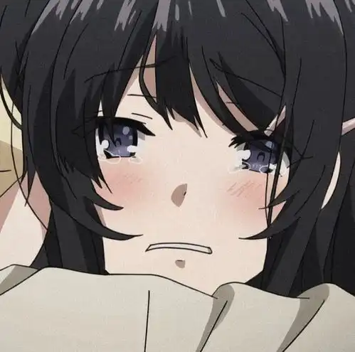 悲系动漫女头
