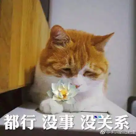 天鸿头条丨十大流行人设盘点,生活处处都是戏啊
