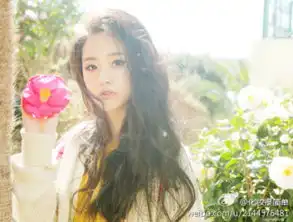 教你如何拍出最堆糖,美好生活研究所
