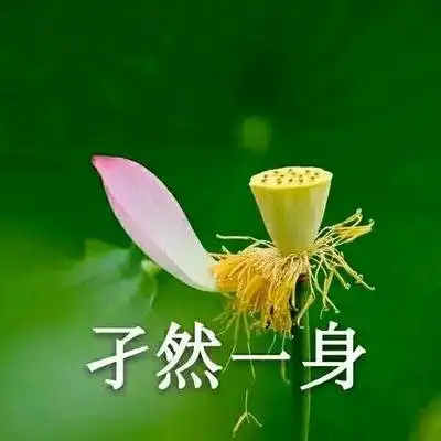 广告豆包一键生成AI图片