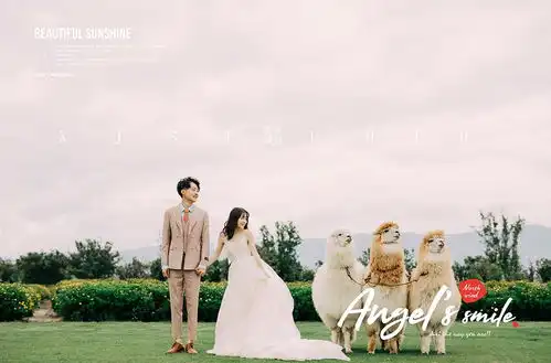 成都婚纱照摄影工作室成都婚纱照萌拍羊驼大理旅拍小清新婚纱照
