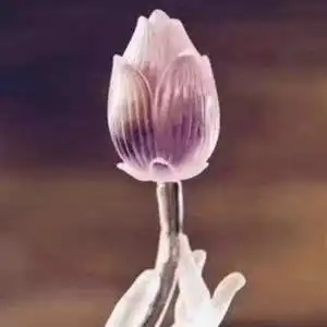 一米阳光抖音