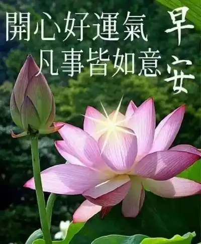 经典冬季早安励志短句,最新早上好问候图片

