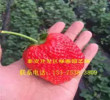 黄页88高清图片
