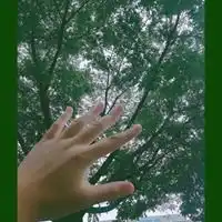 qq头像复古森系气质图片
