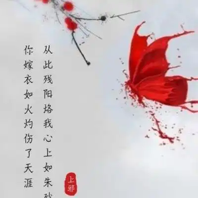 文字微信头像图片大全集
