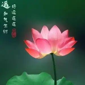 龚晨名就
