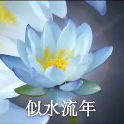 许志安出轨后陪郑秀文跑步,刀郎现状曝光,惠享派带你吃瓜
