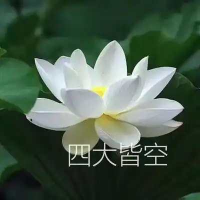广告免费设计logo生成器豆包设计创意logo,塑造品牌标识
