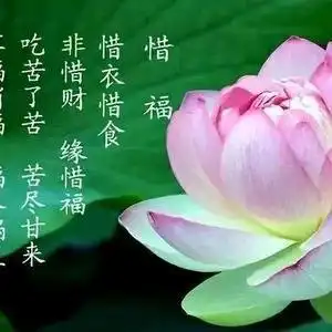 籽臻4134
