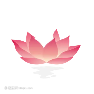 莲花与兔子
