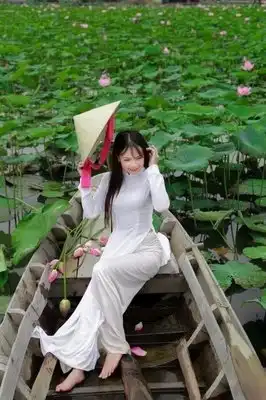 史诗般的画面:越南美女国花国服,令人神往!
