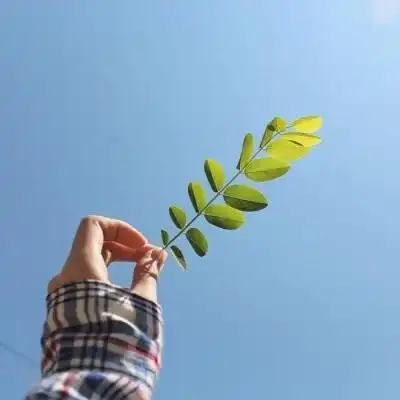 广告豆包一键生成AI图片