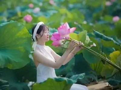 采摘莲花莲蓬的美女图片
