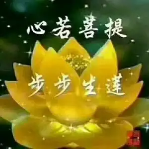 小猴子的主页