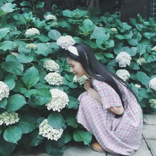 小清新森系图片皮肤头像女头男头喜堆糖,美好生活研究所
