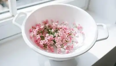杯子里的花手机微信图片