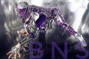 极致格调含蓄奢华宝诗莱xo携手bns超科幻组合来场神秘大秀
