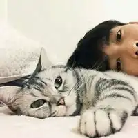 头像男猫头像男猫咪图片潮流
