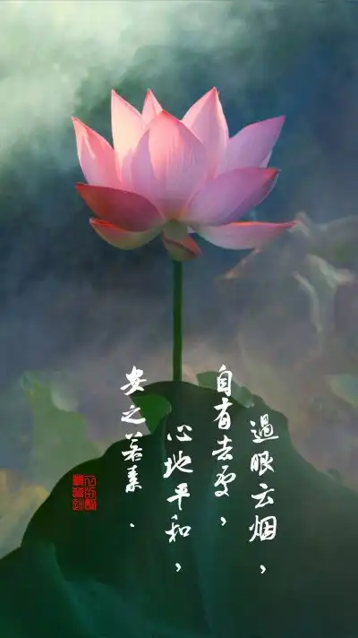 心声文字控
