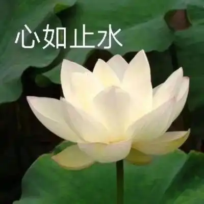 学生们学父母评论朋友圈,父母很开心,与家庭教育有联系

