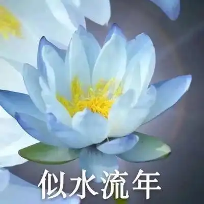 全网最全莲花头像,love&peace
