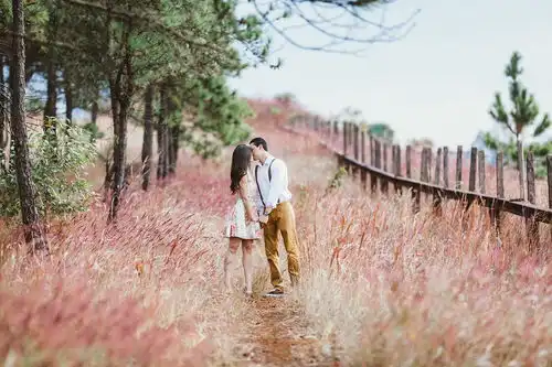什么是森系小清新婚纱照
