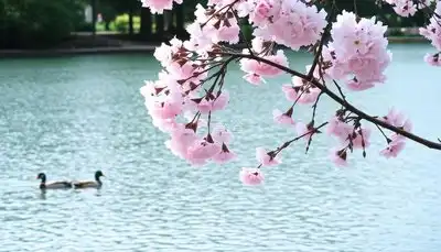 春暖花开头像