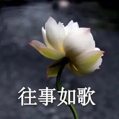 有哪些适合中老年人使用的微信头像?
