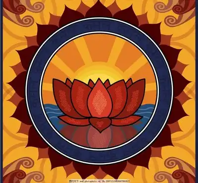 佛花图片
