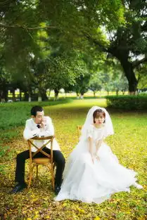 大同视觉全新主题照片大同视觉全新主题图片大同视觉全新主题素材wed114美图
