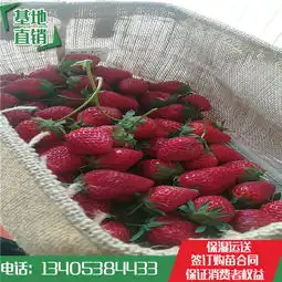肇庆黄页88网
