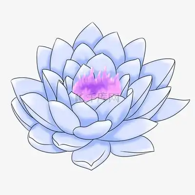 手绘莲花PNG素材
