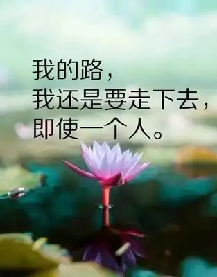 唯美短句子,句句伤感!适合做个性签名!
